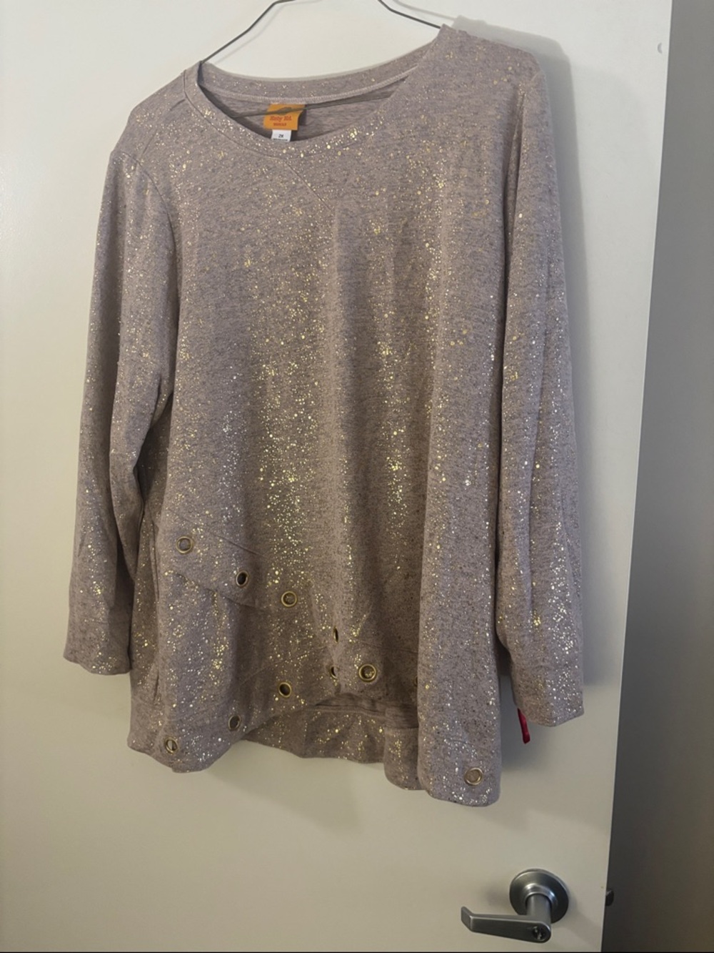 Ruby Rd. Sparkle Eyelet Long Sleeve Top in Taupe with Gold Accents